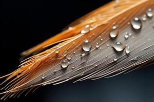 ai generado de cerca de un empapado de lluvia pluma, revelador sus multa estructura. generativo ai foto