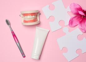 Model of a human jaw with white teeth, toothpaste on a pink background, top view. photo