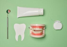 Model of a human jaw with white teeth, dental floss and toothpaste on a green background, top view. photo