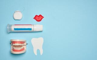 Model of a human jaw with white teeth, dental floss and toothpaste on a blue background, top view. photo