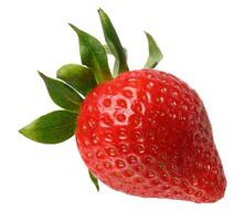 Red ripe strawberry on isolated background photo