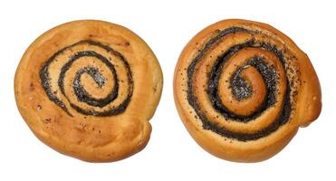 Round baked bun with poppy seeds on isolated background photo