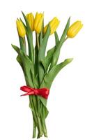 Yellow blooming tulip with green leaves on isolated background photo