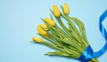 Bouquet of blooming yellow tulips with green leaves on a blue background photo