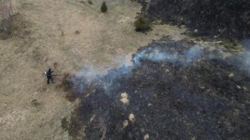 un bombero extingue un fuego. ardiente campo. fuego fatuo en el montañas. bosque fuego. video