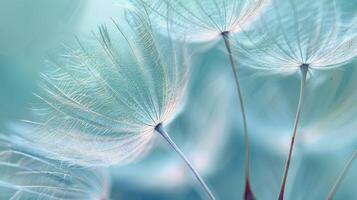 AI generated Close Up of Dandelion With Blurry Background photo