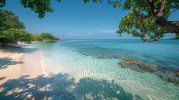 AI generated Sandy Beach Adjacent to Lush Green Forest photo