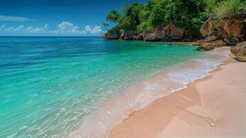 AI generated Sandy Beach Adjacent to Lush Green Forest photo