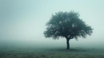 AI generated Lone Tree in Foggy Field photo