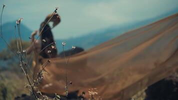 Silhouette of a person sitting behind wildflowers with a blurred background of colorful agricultural fields. video