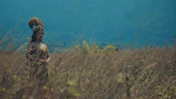 etnico donna nel tradizionale abbigliamento in piedi nel un' campo con un' sereno espressione, circondato di natura. video