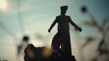 silhouette de une la personne avec ouvert bras contre une crépuscule ciel. video