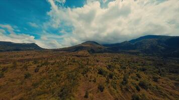 aéreo Visão do uma grande floresta com montanhas debaixo uma nublado céu. video