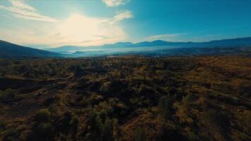 Antenne Aussicht von ein üppig Wald mit Berge im das Entfernung und ein dunstig Himmel video