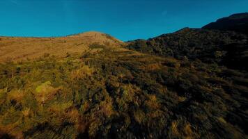 panoramico Visualizza di un' illuminata dal sole montagna pendenza con asciutto erba e scarso vegetazione sotto un' chiaro blu cielo. video