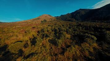 aéreo Visão do uma exuberante floresta com outono cores conduzindo acima para uma áspero montanha pico debaixo uma Claro céu. video