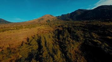 antenn se av en frodig skog med höst färger ledande upp till majestätisk bergen under en klar himmel. video