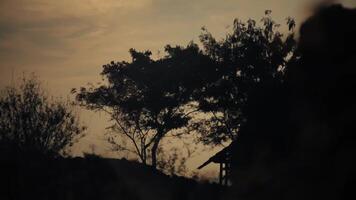 Silhouetted trees and house at dusk with a warm sky. video