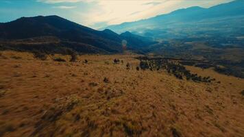 aéreo ver de un escabroso paisaje con dorado césped y montañas debajo un brumoso cielo video