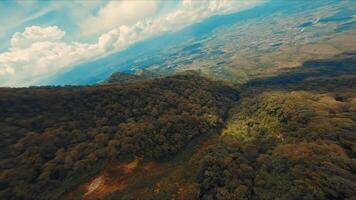 Aerial view of a lush forest with a clearing leading to vast plains under a cloudy sky. video