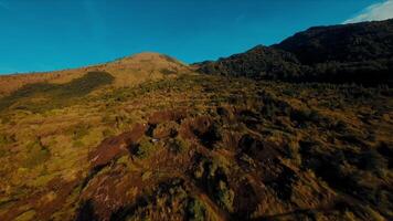 Aerial view of a rural landscape with scattered trees and a mountain range in the distance under a blue sky with clouds. video