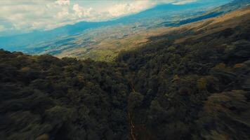 panoramico aereo Visualizza di un' lussureggiante foresta con un' stretto sentiero, prospiciente un' vasto valle e montagne sotto un' nuvoloso cielo. video