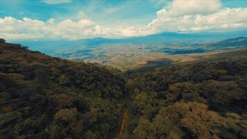 Aerial view of a lush forest with rolling hills in the background under a cloudy sky. video