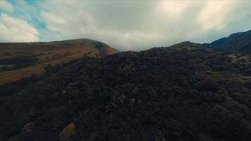 aéreo ver de un vasto, laminación paisaje con lozano verdor debajo un nublado cielo. video