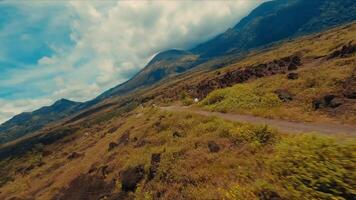 Scenic landscape with winding path through a lush meadow leading towards distant mountains under a cloudy sky. video