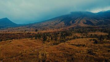 Misty mountain landscape with autumn colors and overcast sky. video