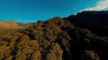 aereo Visualizza di un' lussureggiante montagna con autunno fogliame sotto un' chiaro blu cielo. video