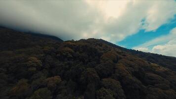 neblig Berg Landschaft mit üppig Grün unter ein wolkig Himmel. video