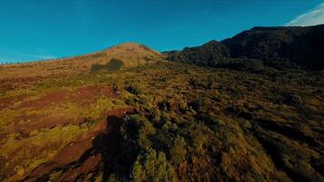 Antenne Aussicht von ein robust Berg Landschaft mit üppig Grün und klar Himmel. video