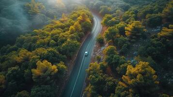AI generated Winding Road in Forest photo