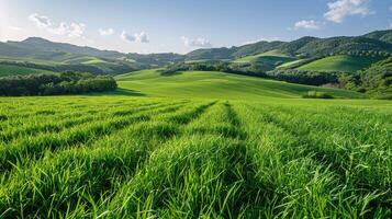 AI generated Green Field With Mountains photo
