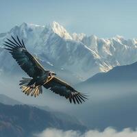 AI generated Himalayan griffon vulture flying with snow mountain background.Generative Ai photo