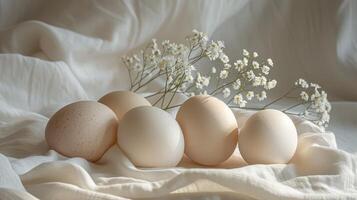 AI generated Eggs on Rock photo