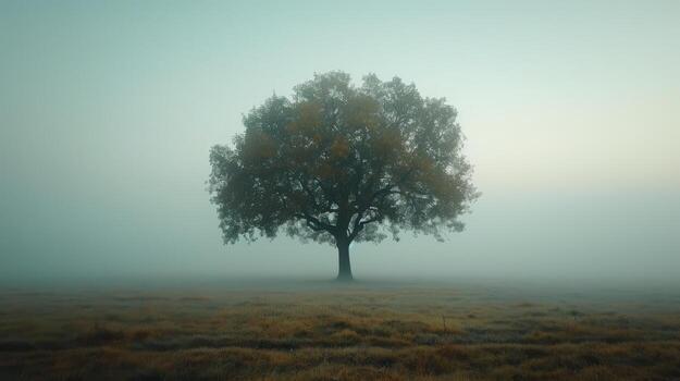 AI generated Lone Tree in Foggy Field photo