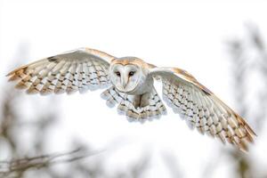 AI generated Barn Owl flying in forest wildlife scene.Generative Ai photo