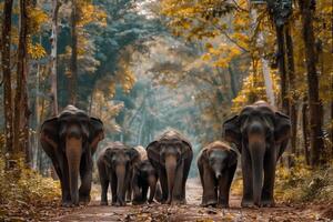 AI generated Elephant family walking through the forest.Generative Ai photo