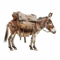 AI generated donkey equipped with a seat and luggage isolated on white background.Generative AI photo