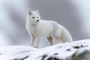 AI generated Arctic fox in snowy landscape.Generative Ai photo