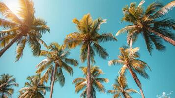 AI generated Group of Palm Trees Under Blue Sky photo