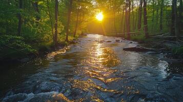 ai generado luz de sol filtración mediante arboles en río foto