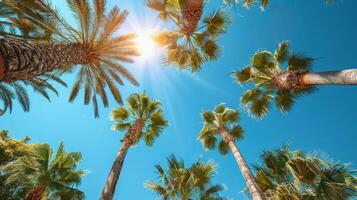 AI generated Group of Palm Trees Under Blue Sky photo