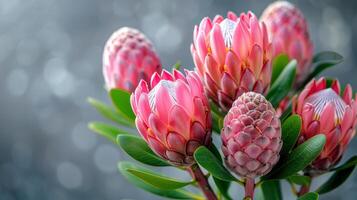 ai generado Tres rosado flores con verde hojas en azul antecedentes foto