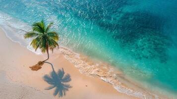 AI generated Aerial View of Beach With Palm Tree photo