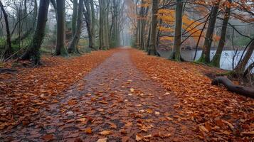 ai generado denso bosque camino cubierto en hojas foto