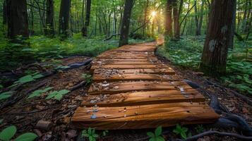 AI generated Wooden Pathway Through Tropical Forest photo