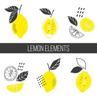 Fruit vector set. Drawn lemons, lemon slices, leaves. Doodle fruits. For paper, textile, gift wrapping, interior decoration, menu. Cartoon design